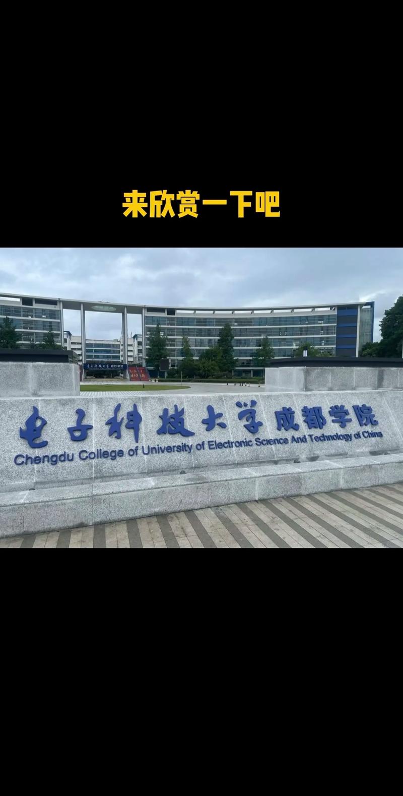 雪落成信，活力文采 电子科技大学成都学院的冬日答案