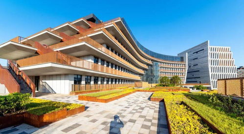 成都市最美科技工作者，天府新区是他们